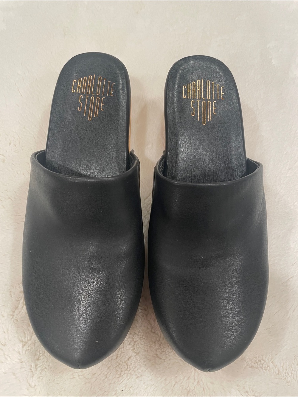Charlotte Stone Black Leather Mule Clogs